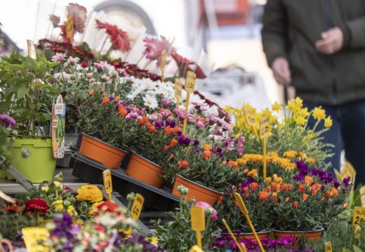 entemanifestazioni_fieraprimavera_04