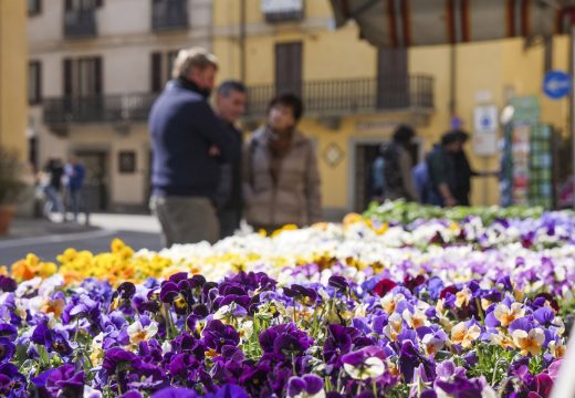 entemanifestazioni_fieraprimavera_08