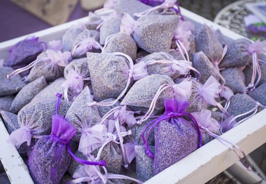 entemanifestazioni_quintessenza_07