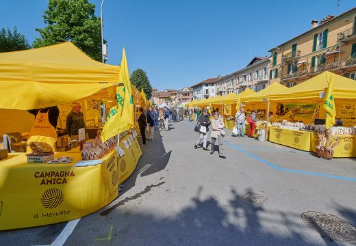 entemanifestazioni_quintessenza_24